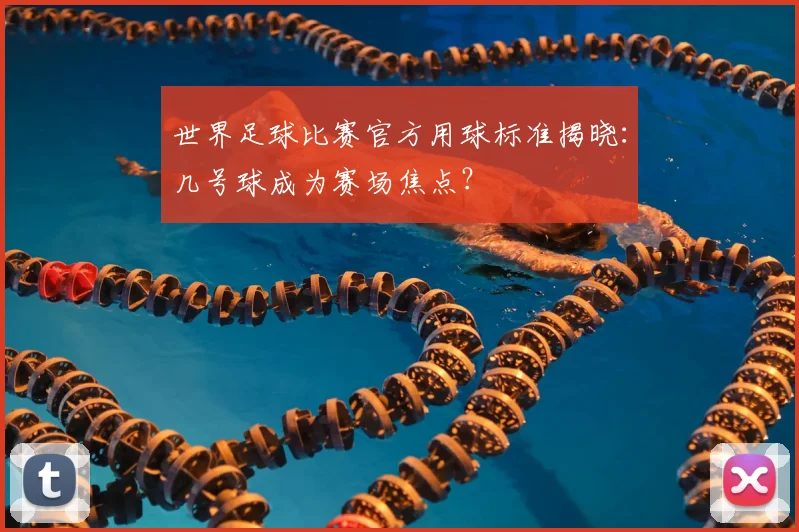 世界足球比赛官方用球标准揭晓：几号球成为赛场焦点？
